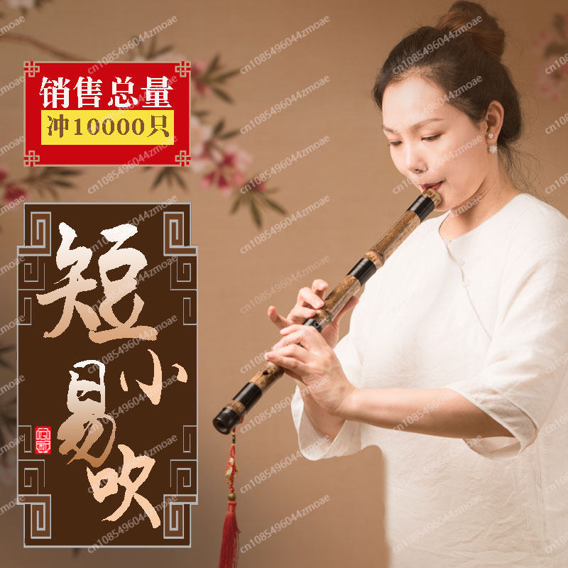 Flûte professionnelle à 8/6 tr - Musical Instrument That You Blow Into avis et prix
