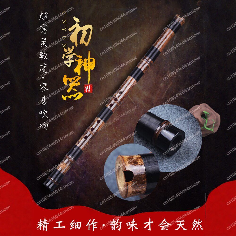 Flûte professionnelle à 8/6 tr - Musical Instrument That You Blow Into avis et prix