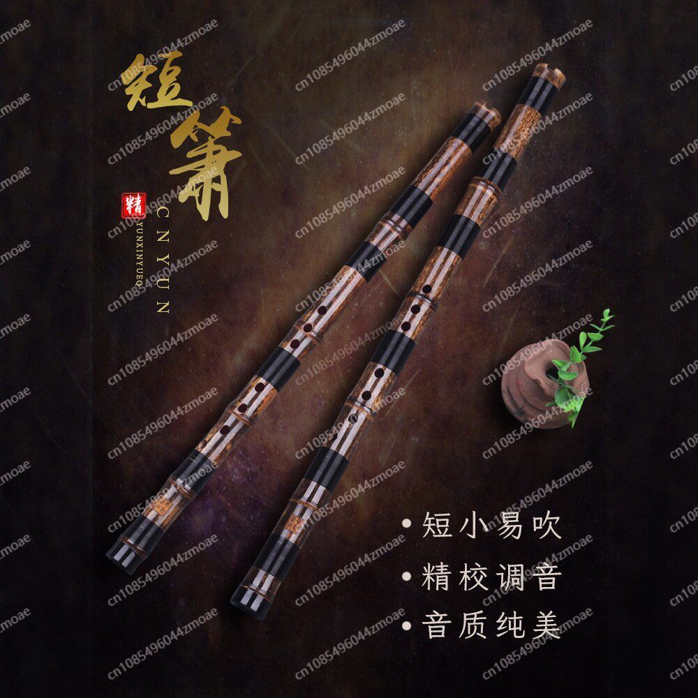 Flûte professionnelle à 8/6 tr - Musical Instrument That You Blow Into avis et prix