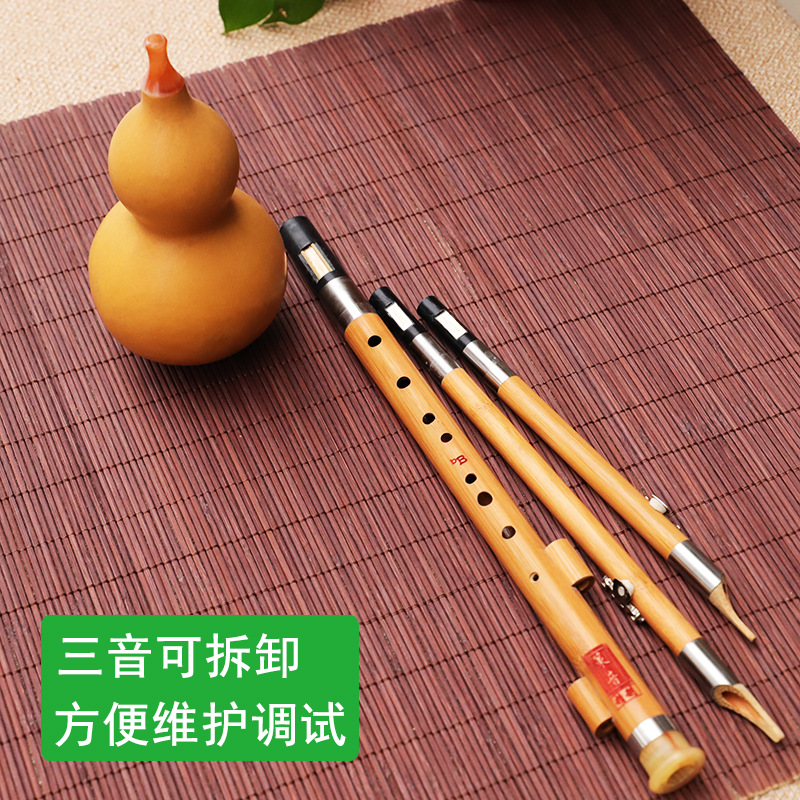 Nanzhu – Instrument de musique - Musical Instrument That You Blow Into avis et prix